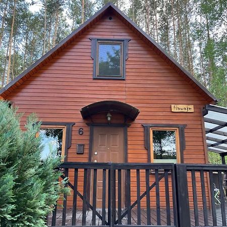 Domek Caloroczny Hawaje Nad Jeziorem Kazub Cieciorka Luaran gambar