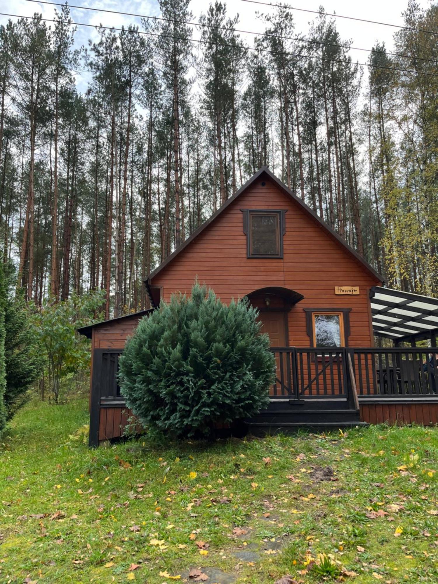Domek Caloroczny Hawaje Nad Jeziorem Kazub Cieciorka Luaran gambar